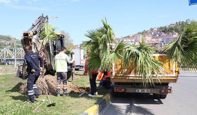 Zonguldak Belediyesi Ayyıldız Kavşağı’nda Peyzaj Çalışmalarını Sürdürüyor