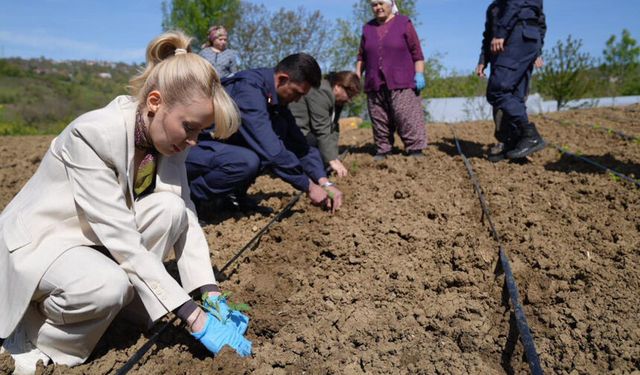 Kaymakam Şıktaş’tan üreticiye destek ziyareti