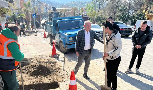 Gökçebey’de Atatürk Caddesi’nde park cepleri oluşturuluyor