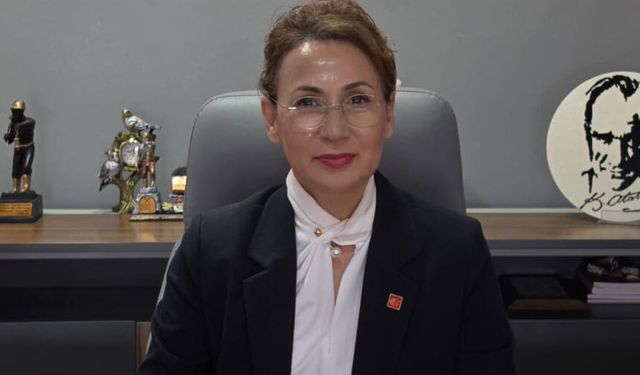 “Okullardaki silahlı saldırılar münferit değil”