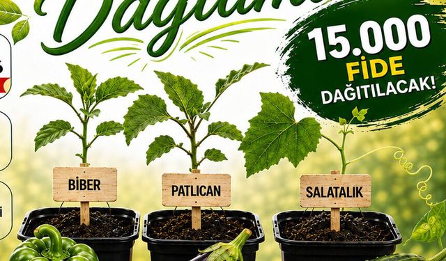 Gülüç Belediyesi’nden vatandaşlara 15 bin ücretsiz fide desteği