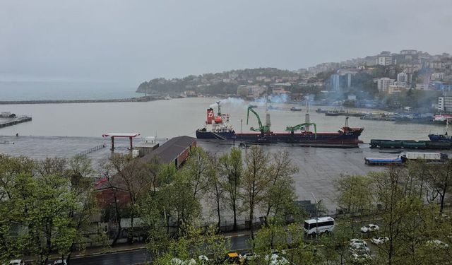 Zonguldak limanı sarıya boyandı