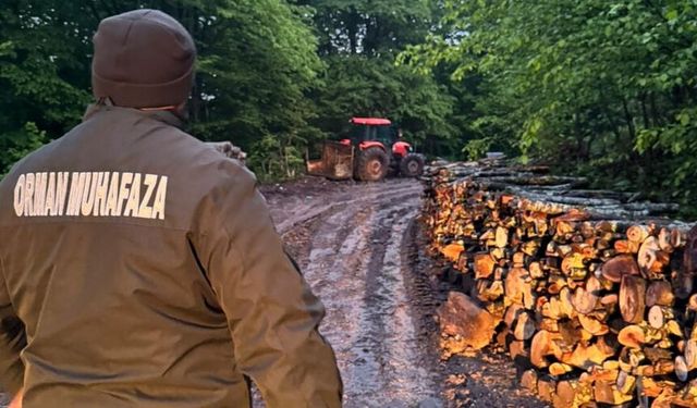 Zonguldak'ta ormanlara 7/24 sıkı denetim