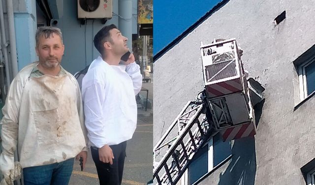 Zonguldak Belediyesi'ni arılar bastı! Vinçle müdahale edildi
