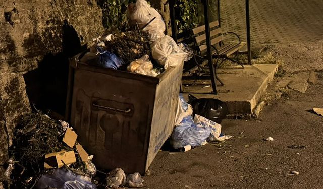 Karaelmas isyanda: Yolları geçtik, en büyük sorunumuz çöp