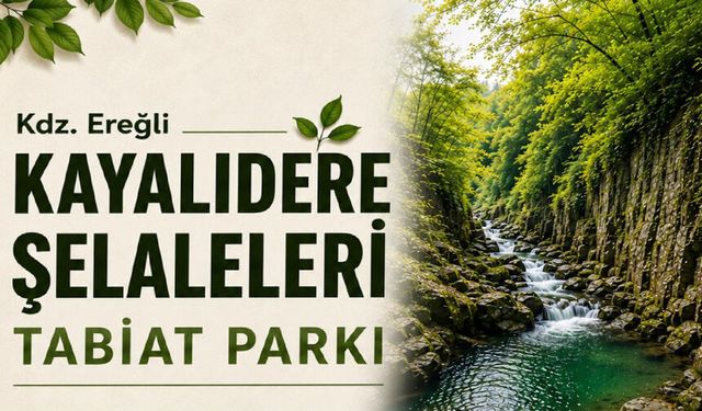 Kayalıdere şelaleleri Tabiat Parkı ilan edildi