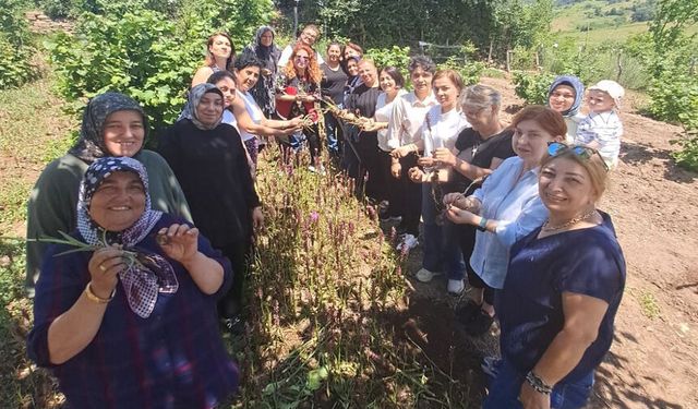 “Gelenekten Geleceğe Salep” Projesiyle kadın emeği toprakta değere dönüşecek