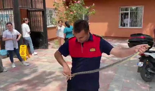 Sağlık ocağına giren yılan korku dolu anlar yaşattı