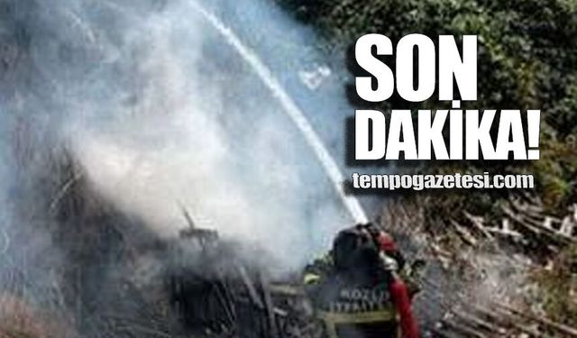 Kozlu'da anız yangını kontrol altına alındı