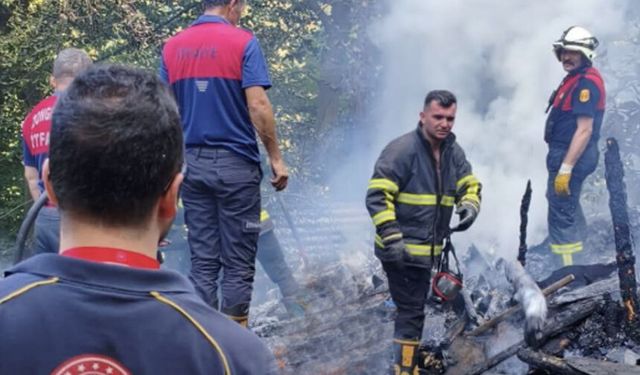 Dilaver Mahallesi'nde eski ev alevlere teslim oldu