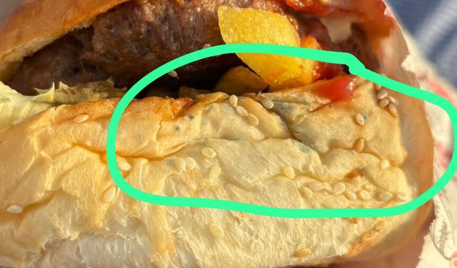 Belediye küflü hamburger satarsa, belediyeyi kim denetleyecek?