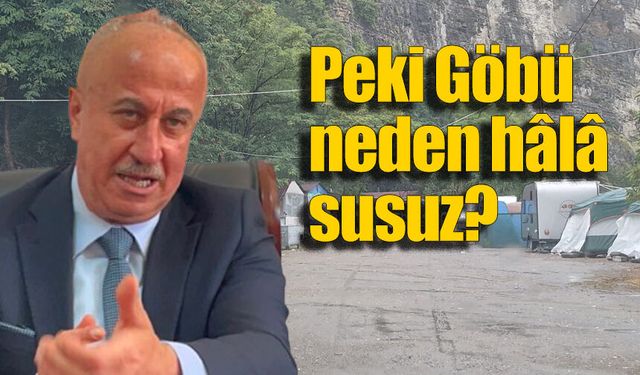 "Susuz köy kalmadı" dedi, Göbü Sahili günlerdir susuz!
