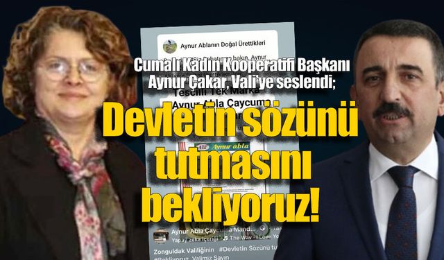 Aynur Çakar, Vali'ye seslendi: 300 bin kişilik proje için sözün tutulmasını bekliyor