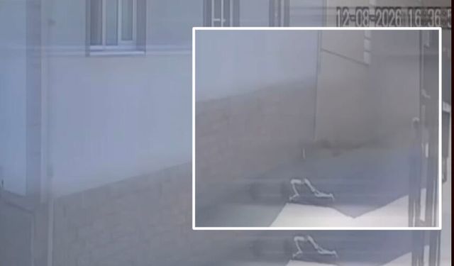2’nci Kattan düştü… Yaşama tutunamadı