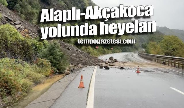 Alaplı-Akçakoca yolunda heyelan