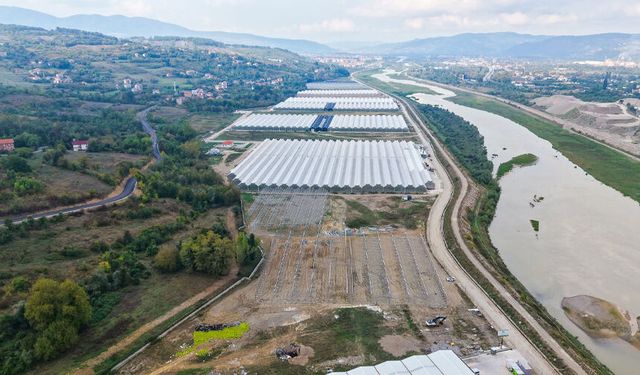 Çaycuma’da 14 bin metrekarelik teknolojik sera kuruluyor