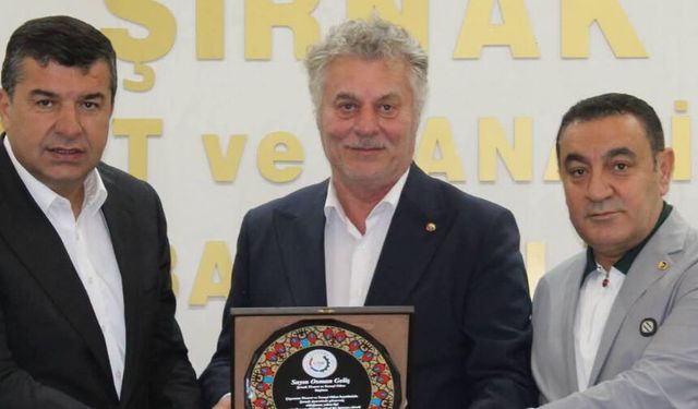 Çaycuma’dan Silopi’ye sera, Zaho’ya ticaret köprüsü