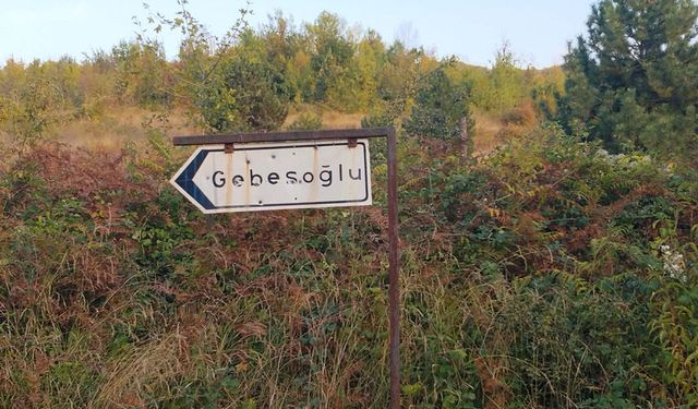 Çaydeğirmeni’nde yol kenarında askeri uçak mühimmatı bulundu