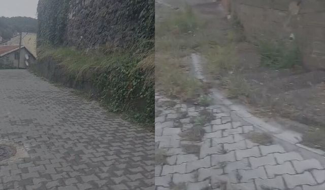 Ambarlı sokak sakinlerinden temizlik çağrısı