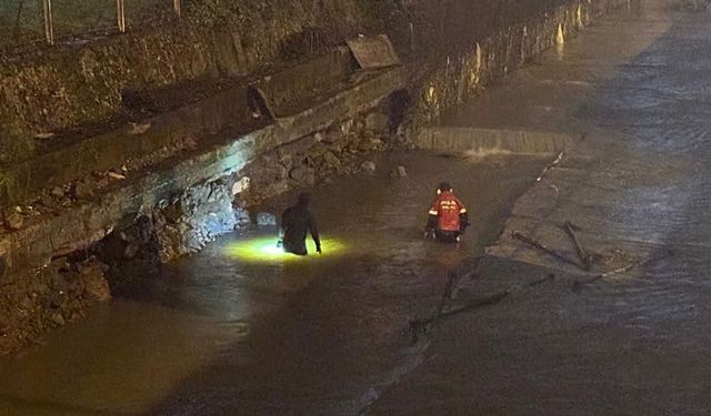 Zonguldak'ta bir eve silahla ateş açılması olayına ilişkin şüpheli tutuklandı