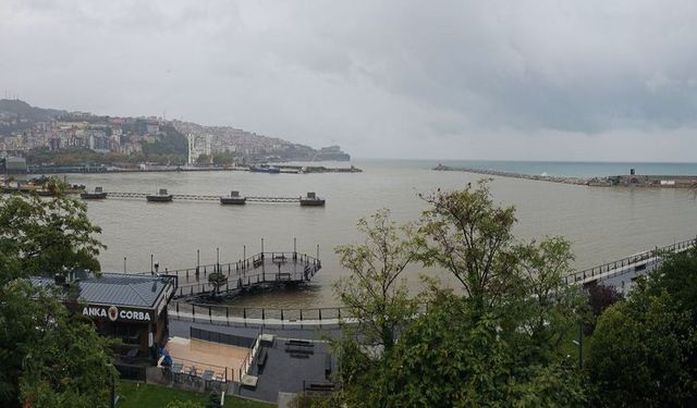 Limanda sağanak sonrası sarı manzara