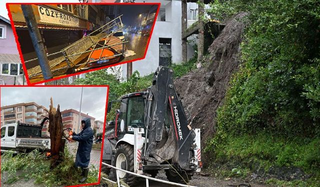 Ereğli'de ağaçlar devrildi, heyelanlar yaşandı!