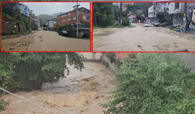 Zonguldak'ta sağanak yağış heyelanlara neden oldu, iş yerini su bastı