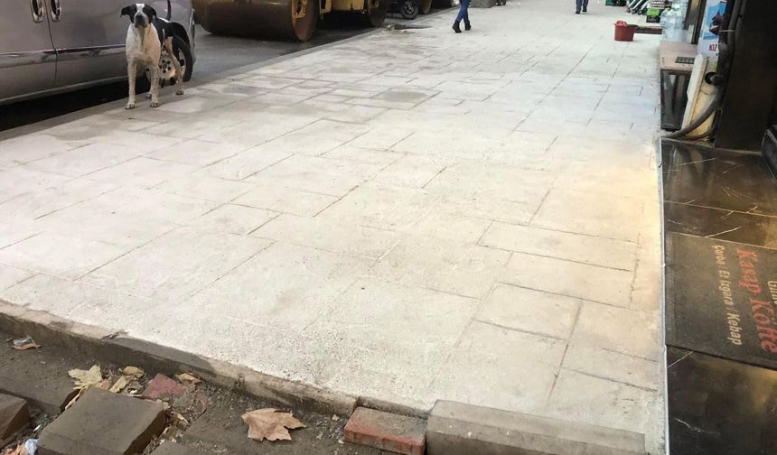"Zavallı kentim, estetik denen duygudan bihaber zevksizlerin elinde, çirkinleştikçe çirkinleşiyor"