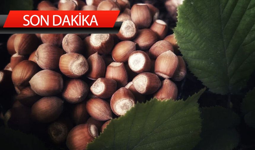Kilogramı 153 TL'den işlem görüyor