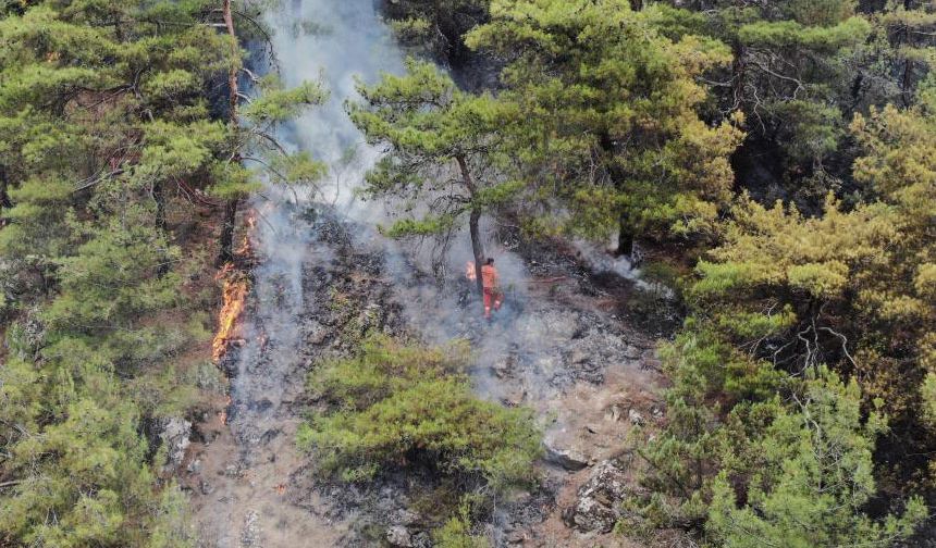 Ormanlık alandaki yangın 4 saatte kontrol altına alındı