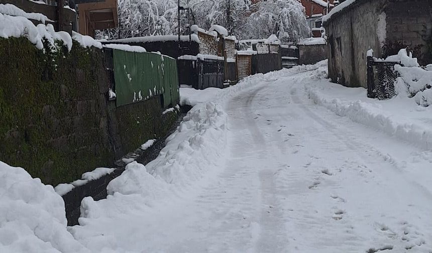 Zonguldak'ta 9 köy yolu ulaşıma kapandı