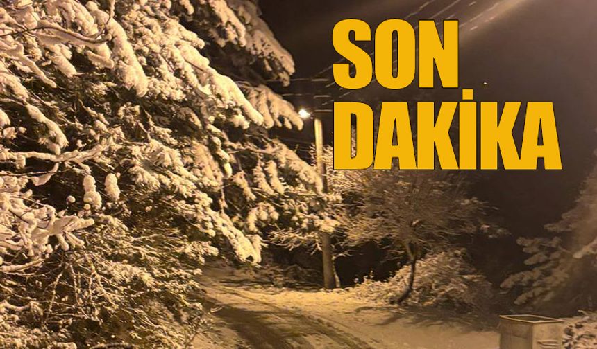 Zonguldak’ta 2 köy yolunda karla mücadele sürüyor