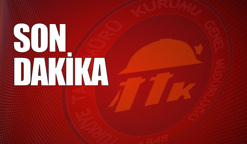 TTK'da 'Nadir Toprak Elementi' mi araştırıyorlıyor?