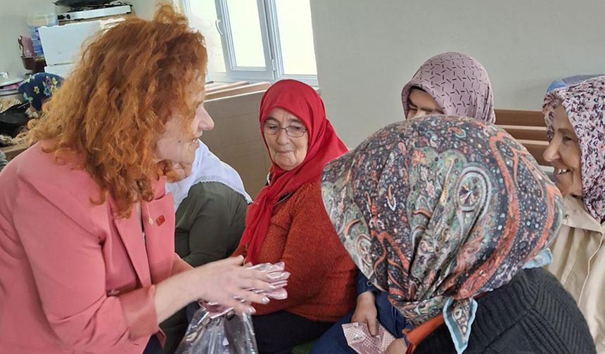 CHP Kozlu örgütü, köylerdeki anneleri unutmadı
