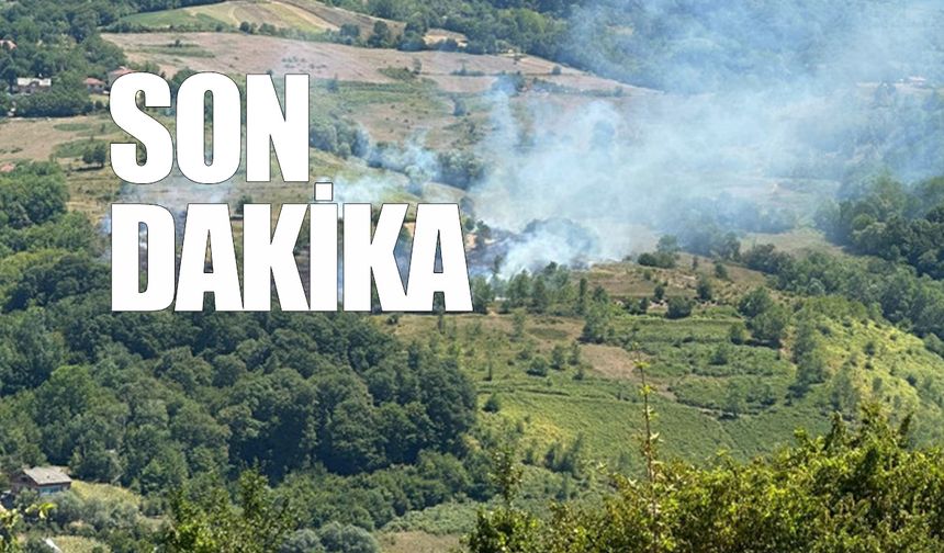 Çaycuma'da orman yangını kontrol altına alındı