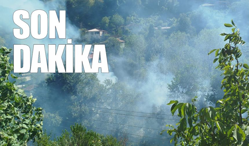 Rüzgarın etkisiyle alevler büyüyor: Evler tehlike altında