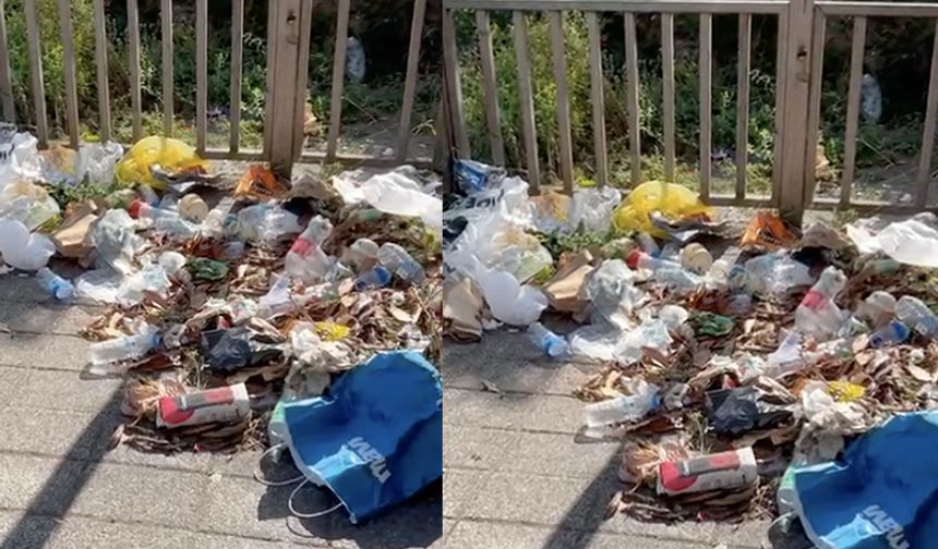 Ağababaların çocuklarını değil, çalışacak insanları işe alın