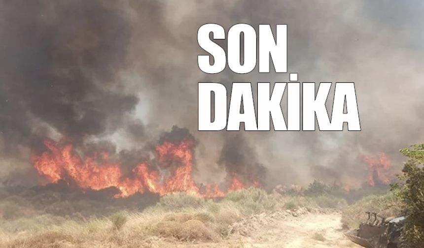 Karamürsel yanıyor!