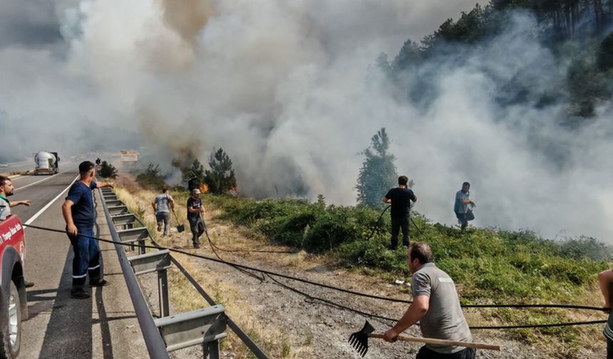 Rüzgarın etkisiyle yangın büyüyor