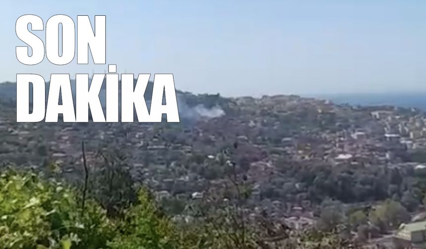 Terakki'de yangın: Ekipler olay yerine sevk edildi