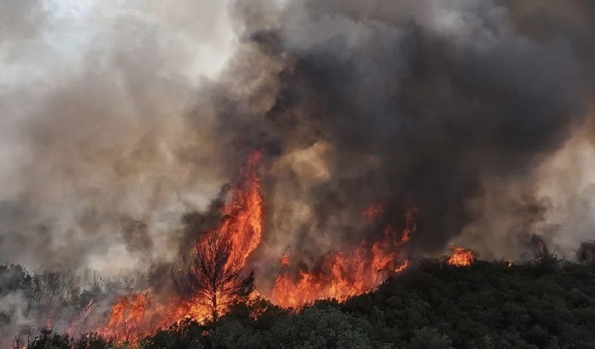 Çanakkale yangını ikinci gününde: 7 köy boşaltıldı