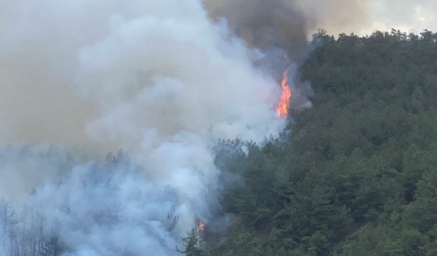 Orman yangınına 51 araç, 3 helikopter müdahale ediyor