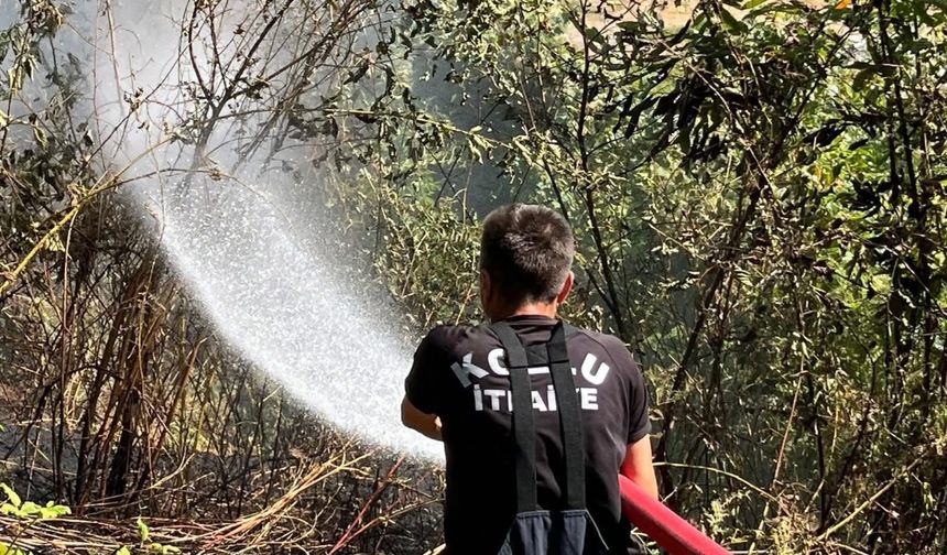 Kozlu'da yangın