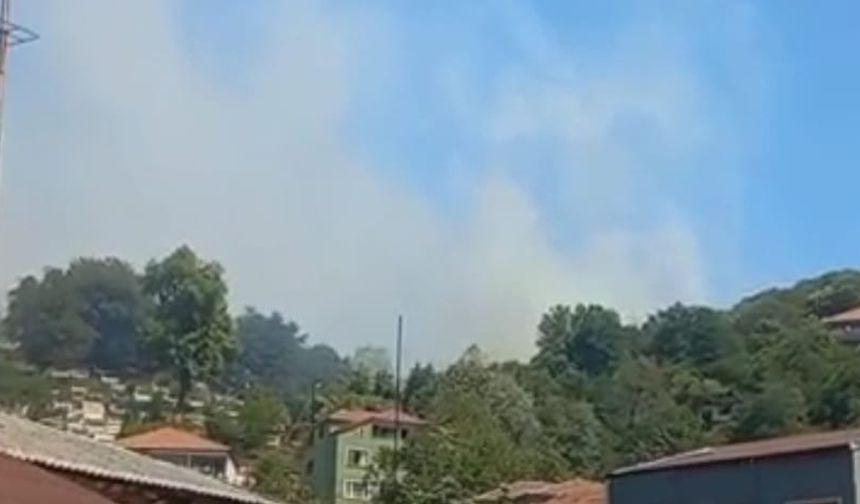 Çatalağzı'nda orman yangını, ekipler müdahale ediyor