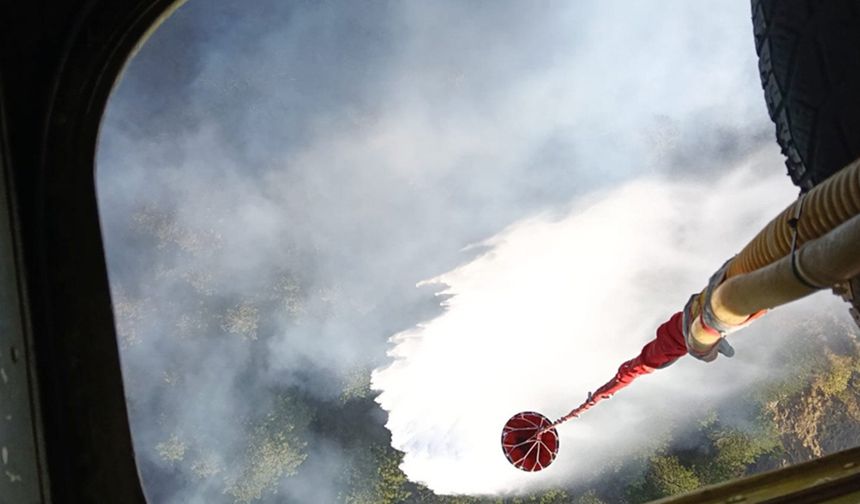 Karabük'te orman yangını çıktı
