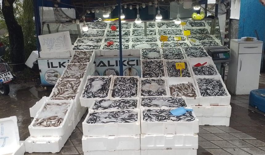 Zonguldak’ta hamsi tezgahlarda 75 liradan alıcı buldu...