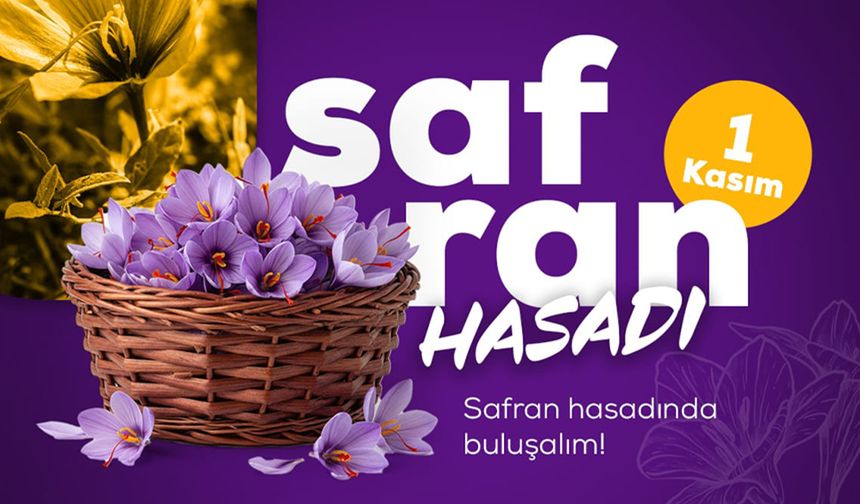 Safranbolu’da Morun ve Dayanışmanın Hasadı: Anadoludakiler’den Safran İmecesi