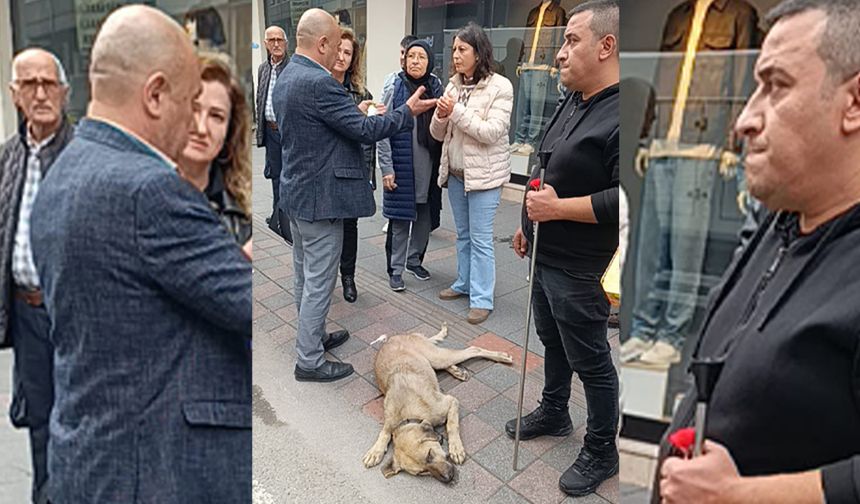 Kent Merkezinde Sokak Köpeği Krizi: Vatandaşlarla ekipler karşı karşıya