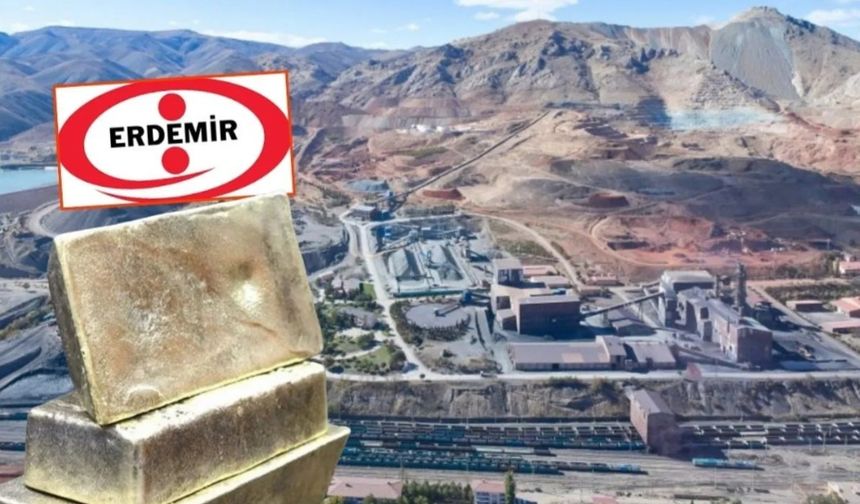 ERDEMİR altın buldu