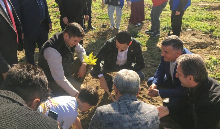 Devrek'te fidanlar toprakla buluştu